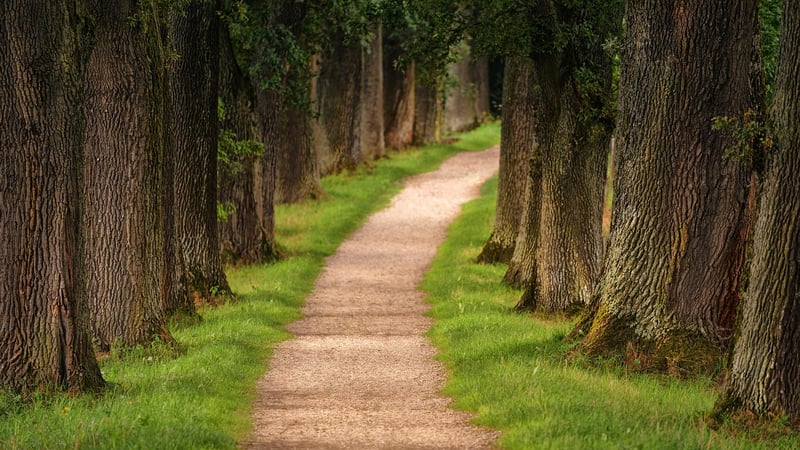 Urban Hiking Trails
